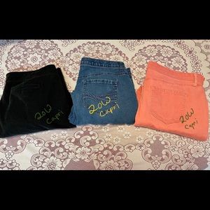 Plus size Capri lot